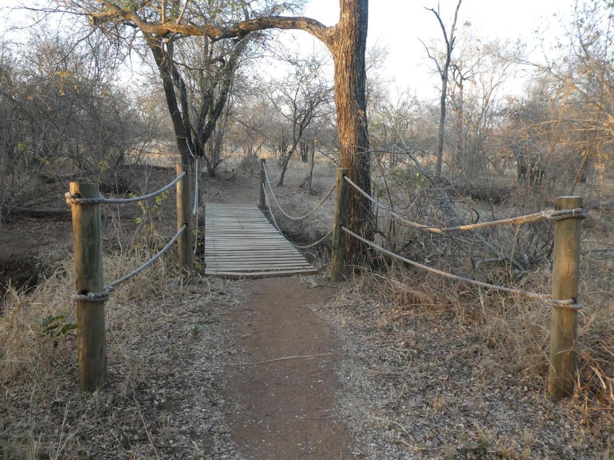 Gem In The Bush Lodge Hoedspruit Extérieur photo