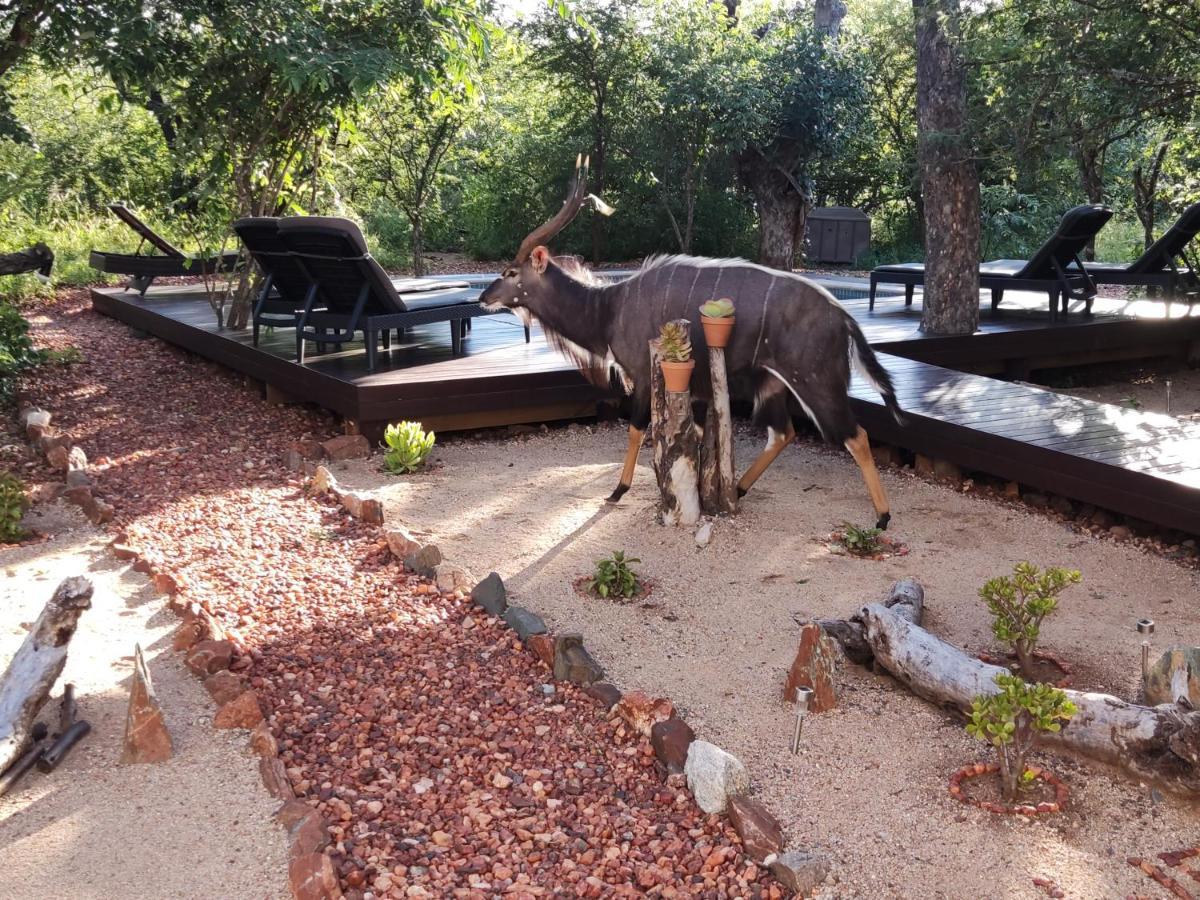Gem In The Bush Lodge Hoedspruit Extérieur photo